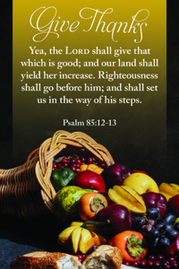 Thanksgiving Bulletin: Give Thanks (Package of 100)