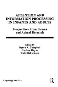 Attention and Information Processing in Infants and Adults