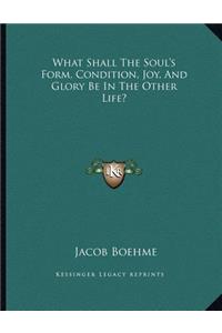 What Shall the Soul's Form, Condition, Joy, and Glory Be in the Other Life?