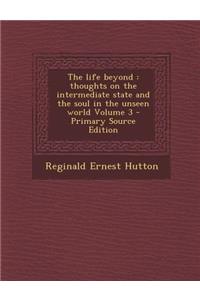 Life Beyond: Thoughts on the Intermediate State and the Soul in the Unseen World Volume 3