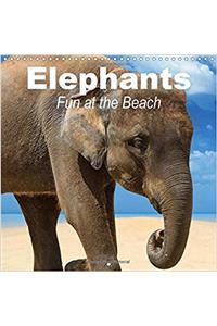 Elephants * Fun at the Beach 2017
