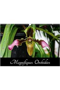 Magnifiques Orchidees 2018
