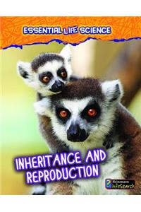 Inheritance and Reproduction