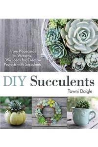 DIY Succulents