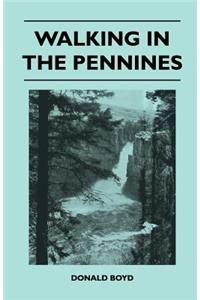 Walking in the Pennines