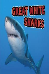 Great White Sharks