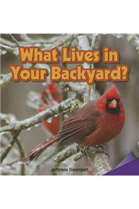 What Lives in Your Backyard?