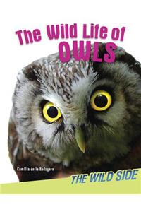 Wild Life of Owls