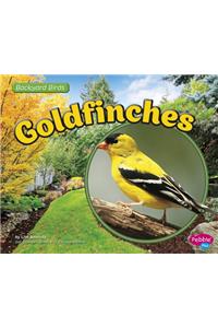 Goldfinches