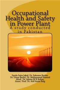 Occupational Health and Safety in a Power Plant