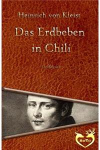 Das Erdbeben in Chili - Gro�druck
