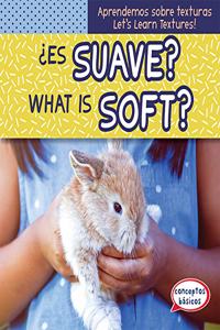 ¿Es Suave? / What Is Soft?