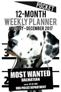 2017 Pocket Weekly Planner - Most Wanted Dalmatian