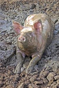 Happy as a Pig in Mud Journal