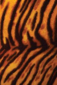 Tiger Fur Painted Notebook