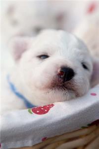 Totally Adorable Sleepy Baby Bichon Frise Puppy Dog Journal