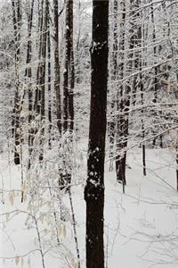 Winter Season Journal Forest