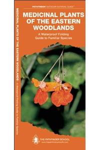 Medicinal Plants of the Eastern Woodlands