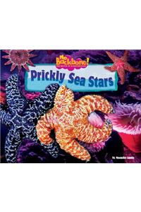 Prickly Sea Stars