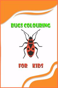 bugs colouring for kids