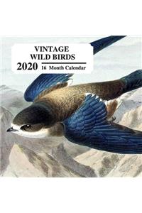 Vintage Wild Birds 2020