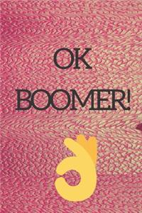 Ok boomer, College ruled composition notebook for millennials