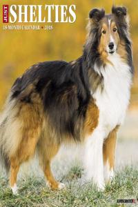 Just Shelties 2018 Wall Calendar (Dog Breed Calendar)