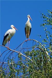 Two White Storks Journal