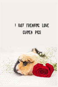 I Just Freaking Love Guinea Pigs