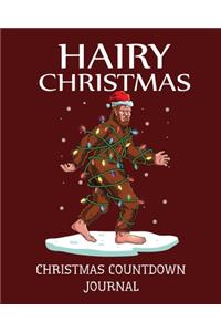 Hairy Christmas