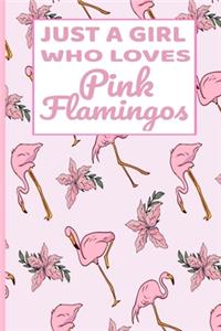 Just A Girl Who Loves Pink Flamingos