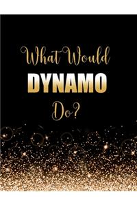 What Would Dynamo Do?