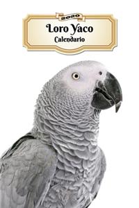 2020 Loro Yaco Calendario