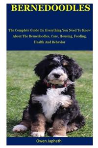 Bernedoodles