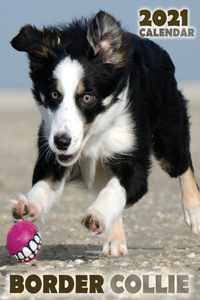 Border Collie 2021 Calendar