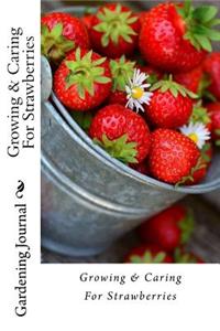 Growing & Caring For Strawberries: Journal