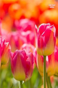 Fire Tulip Notes