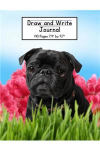 Draw and Write Journal