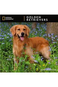 Cal 2020-National Geographic Golden Retrievers Wall