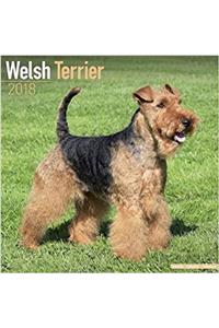 Welsh Terrier Calendar 2018