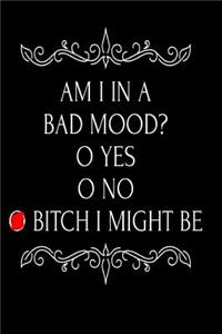 Am I in a Bad Mood Yes No Bitch I Might Be