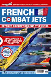 French Combat Jets in Profile
