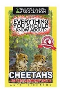 Everything You Should Know About