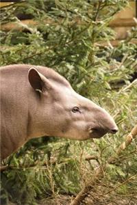 Cool Tapir Portrait Journal