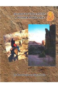 Shadow of the Canyon