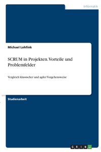 SCRUM in Projekten. Vorteile und Problemfelder