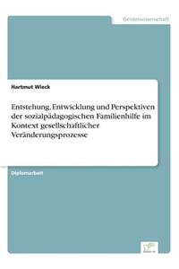 Entstehung, Entwicklung und Perspektiven der sozialpädagogischen Familienhilfe im Kontext gesellschaftlicher Veränderungsprozesse