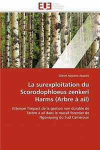La surexploitation du scorodophloeus zenkeri harms (arbre à ail)