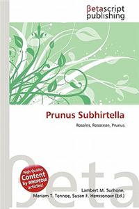 Prunus Subhirtella