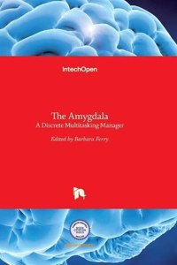 Amygdala